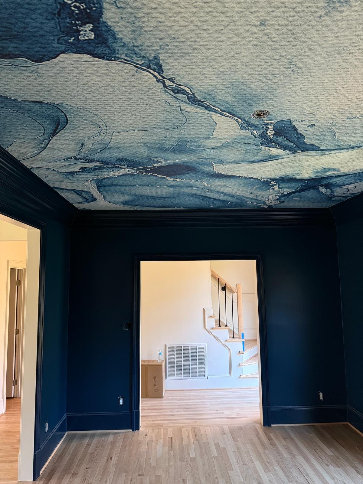Architectural Ceiling Installation I