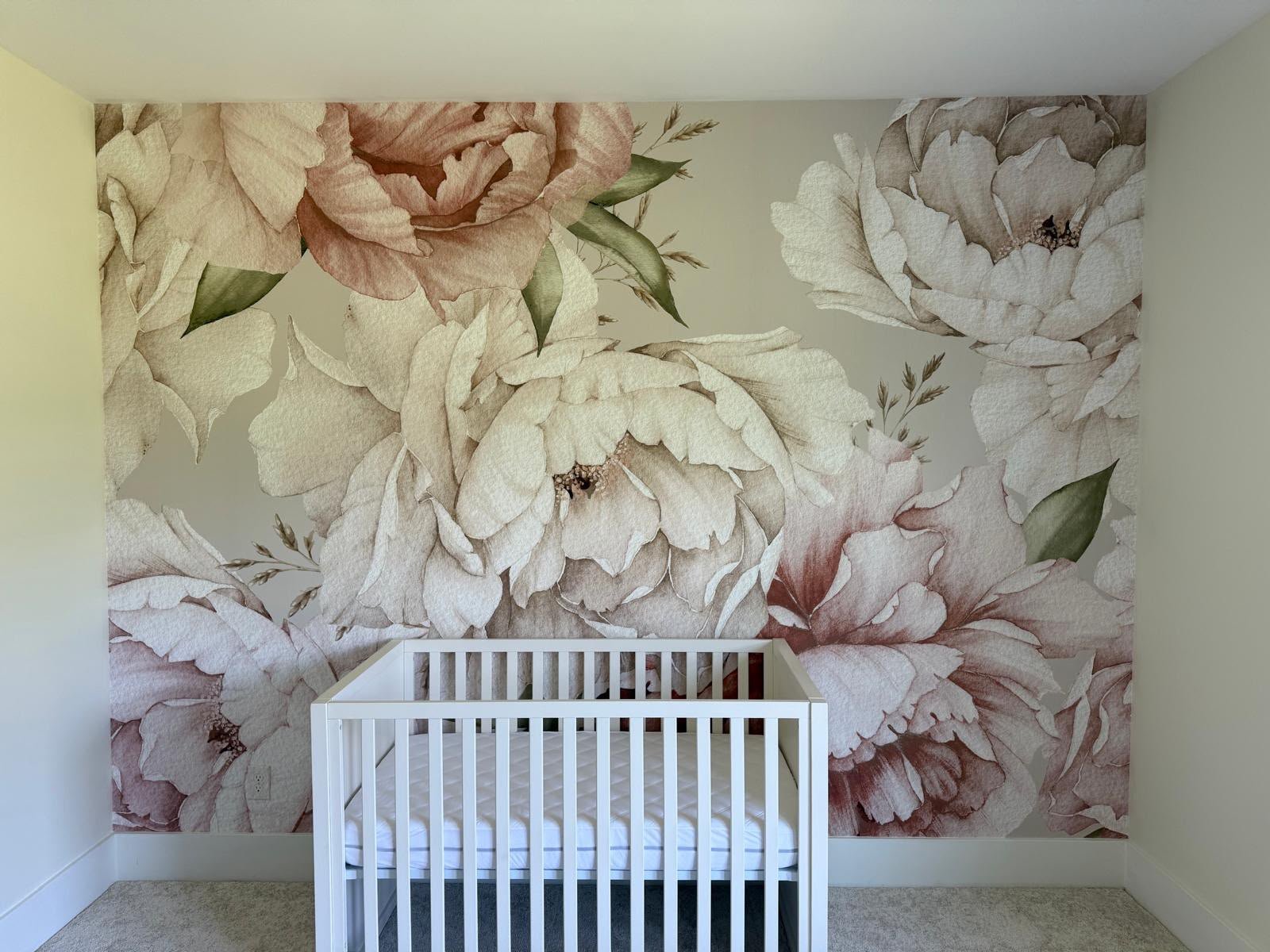 Scenic Panoramic Mural V